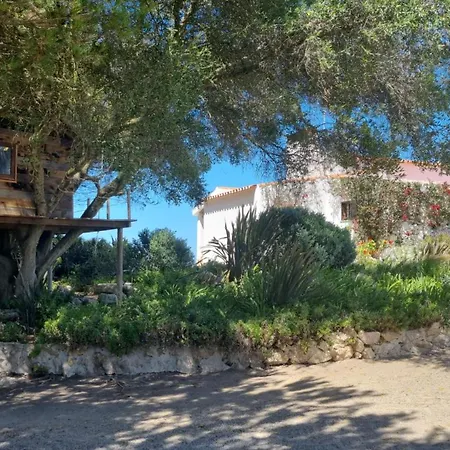 Sea House Σπίτι διακοπών Σεσίμπρα